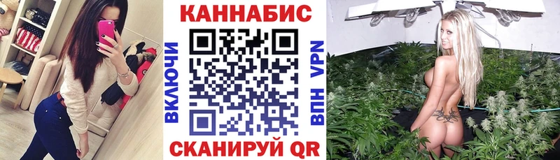 Канабис конопля Переславль-Залесский
